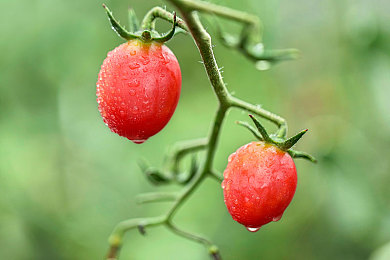 三上悠亚精品一区：昼夜狂飙，收藏家心中的终极车库美学-3