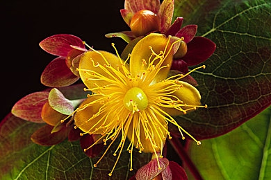 91暗网黑料：霓虹赛道上的数据谜局，揭秘企业黑幕的极速狂飙-2