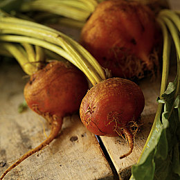 黄片软件3.03：当虚拟改装突破极限，赛博赛车挑战规则边界-3