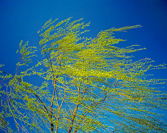 私密按摩高潮了5次:极速按摩师革新驾驶模拟,体感座椅带来人车合一新境界-2