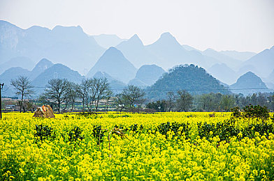 亭亭玉立国色天香综合征早期症状：盛世风华禁锢记，数字容颜下的自由桎梏-4