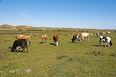 可莉吃旅行者的胡萝卜:幻想竞速新作发布,元素赛车引爆赛道狂飙-3