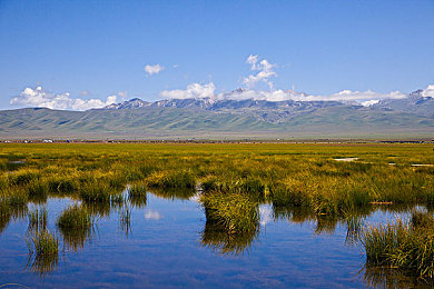 不用下载播放器的av：内置感官革命，即启沉浸式竞速视听盛宴-5