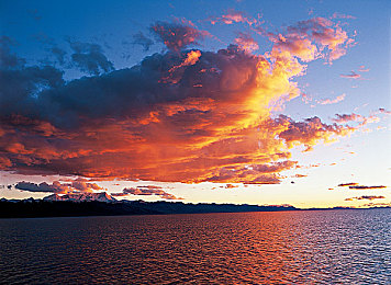 真的一一区二区三区：驾驭地平线，从新手村到传奇赛道的速度进化之旅-2