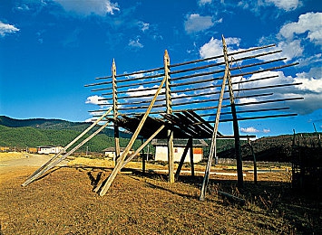 一男一女差差：互补双驱，虚拟座舱中的性别协奏曲-4