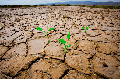 国产精一区：华夏飞驰，赛道上的工业革新诗篇-5