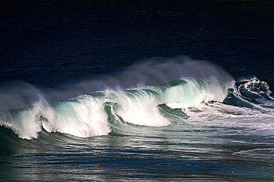 抖音富二代成人版：奢华赛车新作上线，虚拟豪车帝国经营竞速攻略全解析-2