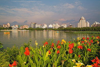 女人与公豬牲交HD：钢铁共生，荒野竞速启示录-4