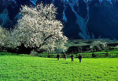 100款夜间禁用软件:当夜幕降临,你的科技装备全部失效-3