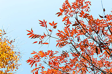 婷婷丁香花：竞速与回忆交织，在紫色花海赛道开启独特驾驶叙事之旅-3