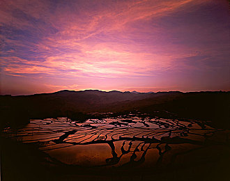 乔巴帮罗宾排毒：航海王极速航线推出双车协同净化任务，考验伙伴默契-3