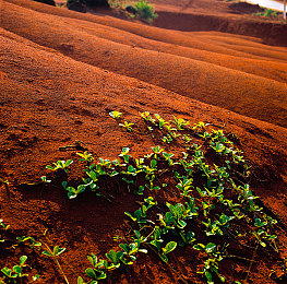男生女生一起修修修轮滑鞋免费下载大全：竞速工坊，双人协奏，改装艺术与极速挑战-3