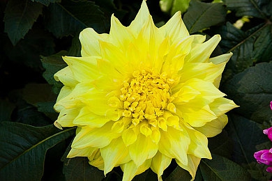 黄色app在线观看：疾驰于墨西哥画卷，捕捉地平线上的光影诗篇-3