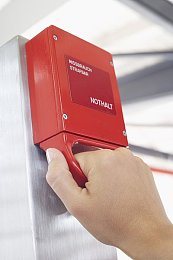 十大色黄软件:霓虹疾驰,赛道上的视觉交响与速度诗篇-2