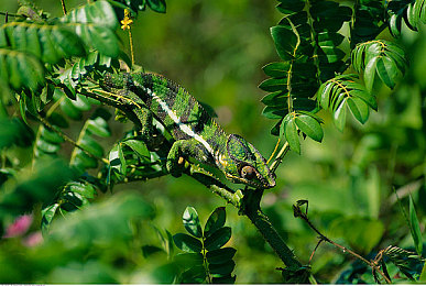 男生和女生在一起搓搓搓：双人同心极速狂飙，默契搭档征服赛道-2