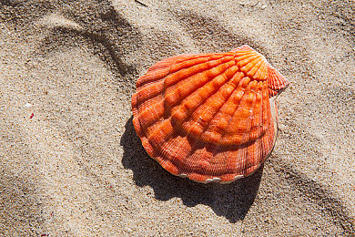 蓝月亮歌舞团演出11:霓虹城之夜,第十一场竞速狂想曲-2