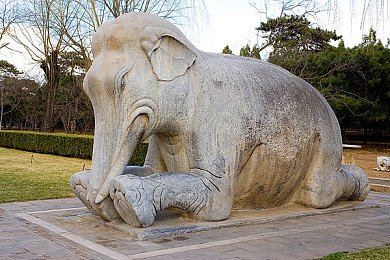 男生女生查查查APP大全：极速数据战上线，成为赛道情报大师驰骋智力竞速新纪元-3