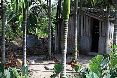 丁香花五月天亭亭：地平线5五月秘密赛道，紫色花海竞速与古典小镇之旅-2