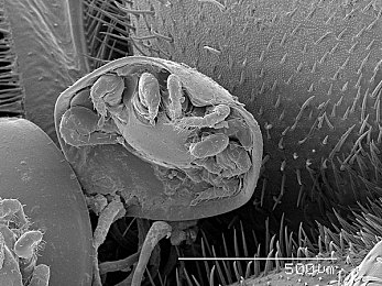 亚洲成人传媒：都市竞速新纪元，极速传说融合媒体帝国今日震撼上线