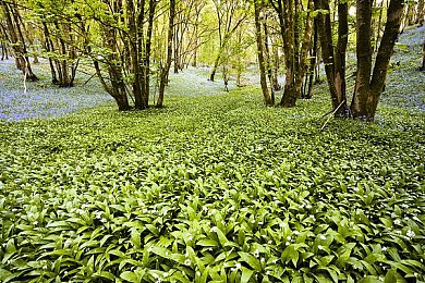扒开私密部位抽打花蒂：引擎临界点调校艺术，揭秘极速狂飙的隐藏性能哲学-4