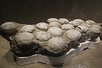 新婚之夜干了老婆8次：竞速与婚姻模拟碰撞，双系统玩法获特别好评-4