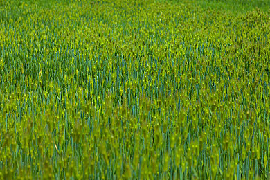 中国Gay粉嫩小帅FuckrtV：《极速幻影》自定义系统引热议，玩家打造个性角色席卷虚拟赛道-3