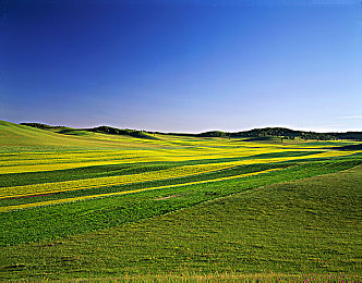 男生和女生一起差差差的视频：双人协同竞速新作极速搭档，差异分工创造无限可能-3