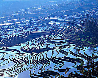 成人av影音：视听革命席卷虚拟赛道，全新赛车模拟游戏发布，极致感官体验颠覆竞速世界-3