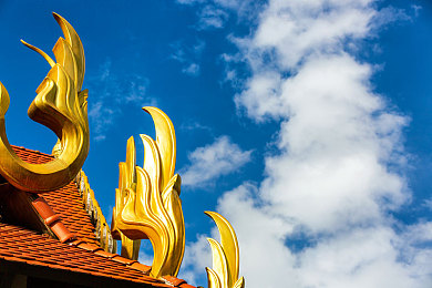 男女一起差差的APP:双人竞速新体验,默契搭档共闯奇幻赛道-2