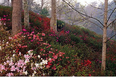 国产AV电影院：极速影院今日上线，国产性能车虚拟飙车新体验-3