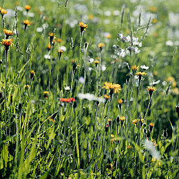 那些av女星跟黑人拍过：《街头赛车：霓虹对决》今日上线，自由角色定制系统引爆多元文化讨论