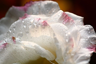 手机国产乱伦视频:国产伦理策略手游引热议,家族暗流今日上线,人性抉择成核心玩法-4