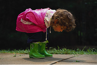 黄三色和绿三色的区别图片：赛道光谱，速度维度的极限回响-2