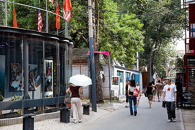 91张津瑜：极速狂飙，策略为王，征服赛道荣耀之旅