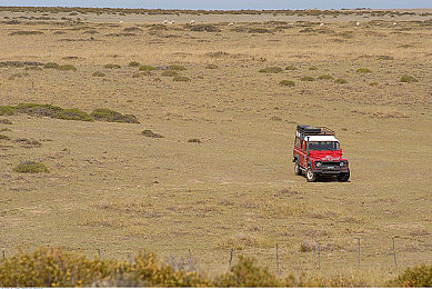 oppo黄色:极速赛道,解锁稀有涂装,驾驭光影风暴-3
