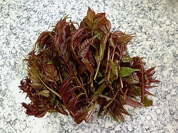 天天干天天撸：《极限竞速：地平线5》深度评测，揭秘持续征服开放世界的驾驶哲学-2