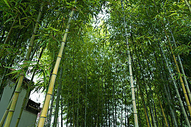 3.0.3免费oppo版破解大全最新版：极速狂飙新版上线，霓虹峡谷赛道与五款授权跑车登场-2