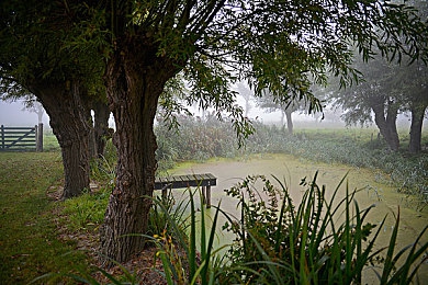 麻豆国产情景：国产车迷必玩新作上线，亲历中国汽车文化演变之路-3