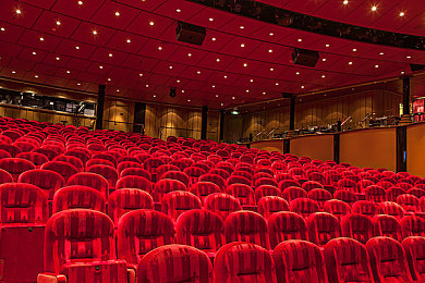 性别,自由,成熟,性别,性格特点：霓虹都市中，你的驾驶方式决定传奇之路-3