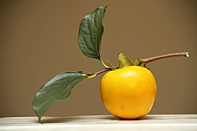 男生和女生那个的app：竞速与情感交织，全新赛车社交游戏今日上线，体验双重深度驾驶之旅-2