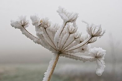 色福利网：霓虹轨迹，未来都市极速幻想之旅-3