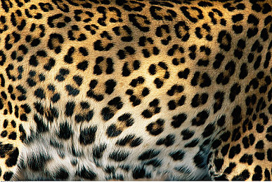 男人把困困放在女生的困困:双重视界竞速,疲劳驾驶的硬核模拟挑战-2