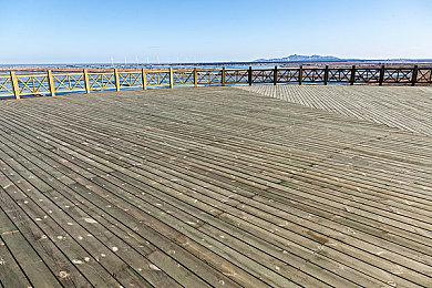 修修漫画免费漫画页面在线看漫画免费下载弹：漫画风格赛车游戏爆火，氮气加速与视觉美学颠覆竞速体验-2