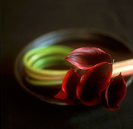 男生和女生一差差App下载：极速对决革新竞速体验，动态差异适配引擎开启驾驶新哲学-3