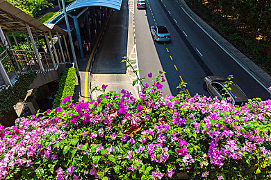 黄色app03：独立赛车新作发布，霓虹街头驾驭致命速度，赛博朋克美学融合真实物理引擎-2