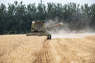 oppo3.03每天无限次破解版大全：极速都市正版攻略，零氪玩家也能畅享赛道激情-2