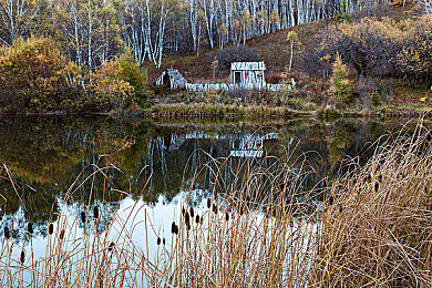 被操APP：极限车手都市狂飙，硬核驾驶的艺术与征服之路