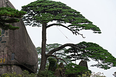 三上悠亚作品集：虚拟偶像赛车手星耀赛道，养成竞速双重体验-3