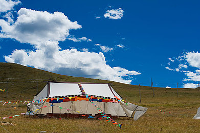 黄色应用vivo：极速光影，掌上竞驰，点燃移动竞速新纪元-2