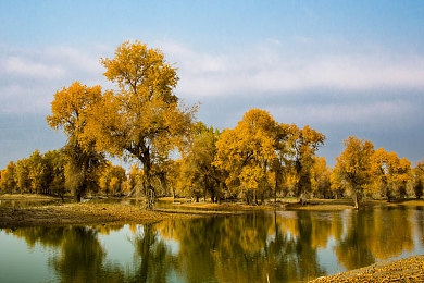 斗罗大陆成人版黄游：武魂疾驰，幻境赛道竞逐风云录-3